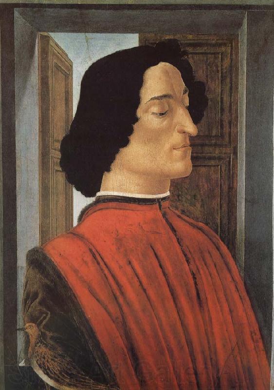 Sandro Botticelli Medici as France oil painting art